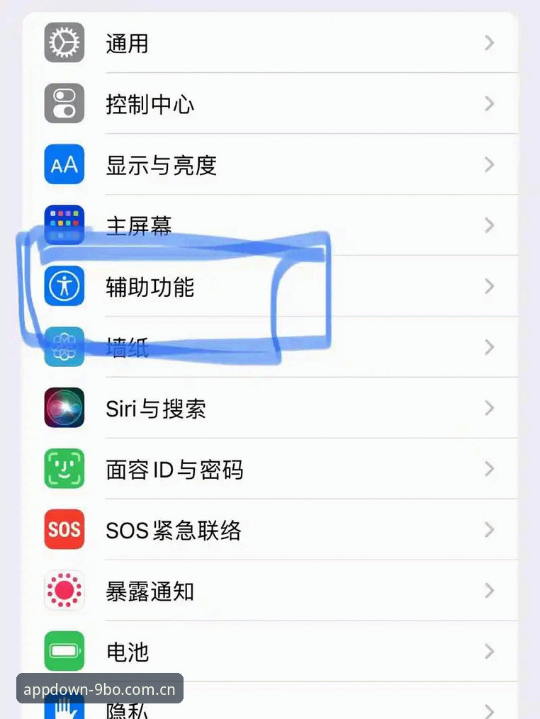 想用苹果手机玩博体育？掌握App安装的实用指南